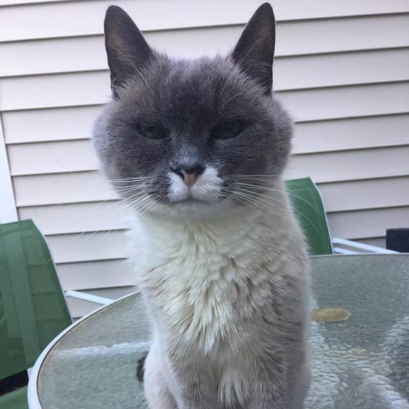 Meet your Posher, Sean - Picture 1 of 1